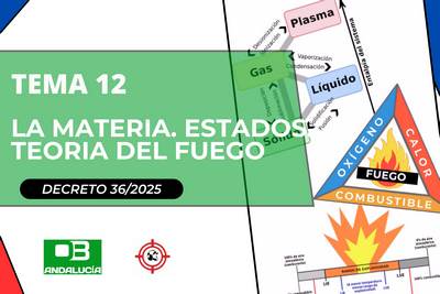 Tema 12 Específico - Andalucía